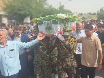 شهدای شیعه و سنی نماد همبستگی ملی در دفاع از دین هستند