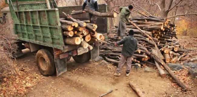 کشف ۳ تن چوب جنگلی قاچاق در گنبدکاووس