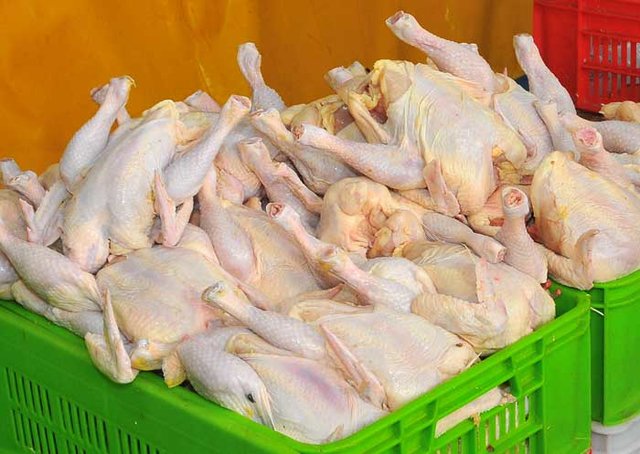 48 تن گوشت مرغ گرم با قیمت مصوب در گنبدکاووس توزیع شد