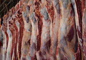 نوسان قیمت گوشت در ایام پایانی سال/ مسئولان جلوی خروج غیرقانونی دام را بگیرند