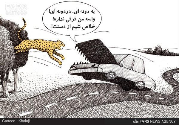 تنها دو یوزپلنگ ماده ایرانی داریم!