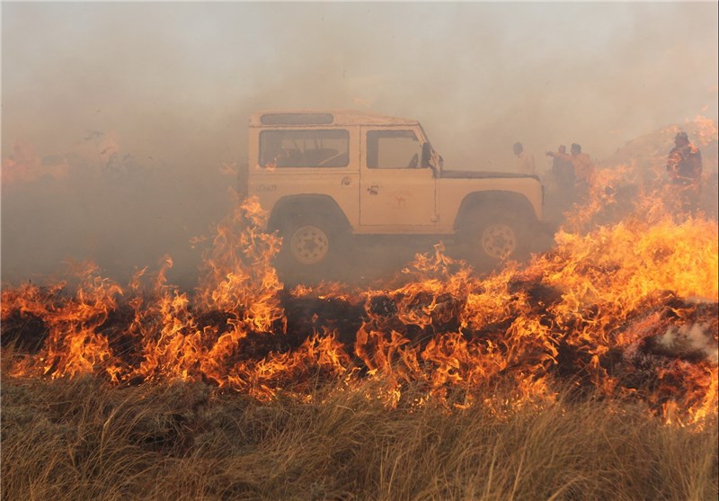  ۱۵۰ هکتار از جنگل‌های استان گلستان در آتش سوخت 