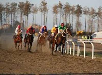  رقابت 53 راس اسب در هفته هفدهم مسابقات کورس پاییزه گنبدکاوووس