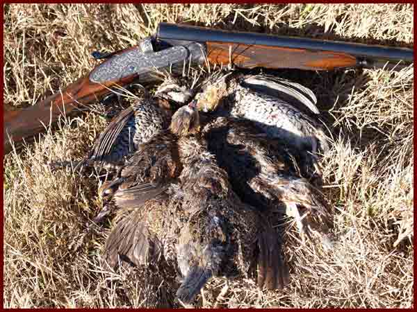 کشف 64 قطعه پرنده باقرقره و دستگیری 6 شکارچی متخلف در منطقه مرزی گنبدکاووس 
