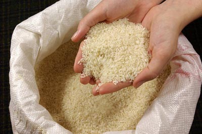  افزایش قیمت برنج همچنان ادامه دارد +جدول