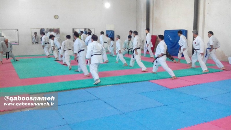 بیستمین تمرین کاراته پیشکسوتان گلستان در گنبدکاووس/تصاویر