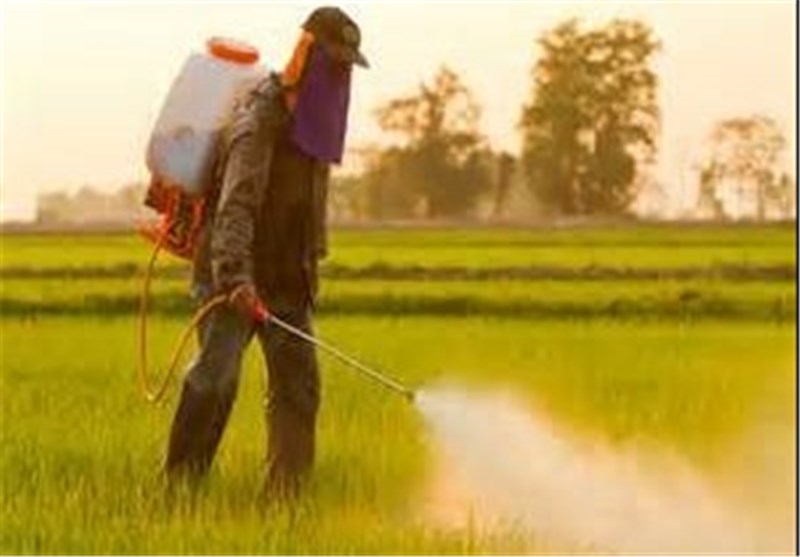 استفاده از آلاینده‌های کشاورزی در استان گلستان استانداردسازی می‌شود