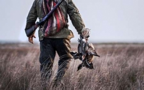  9 شکارچی غیرمجاز پرندگان کمیاب دستگیر شدند