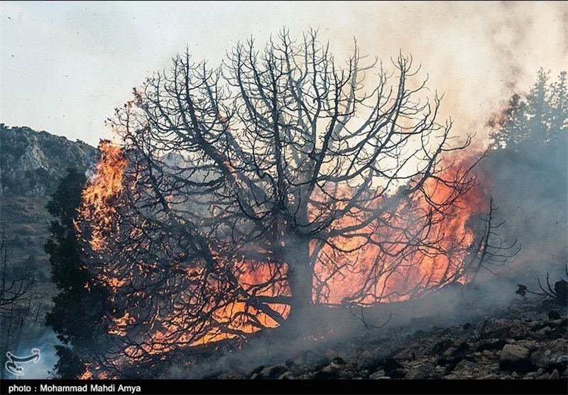  تکرار آتش‌سوزی‌ها، نفس‌های جنگل‌های گلستان را به شماره انداخت 