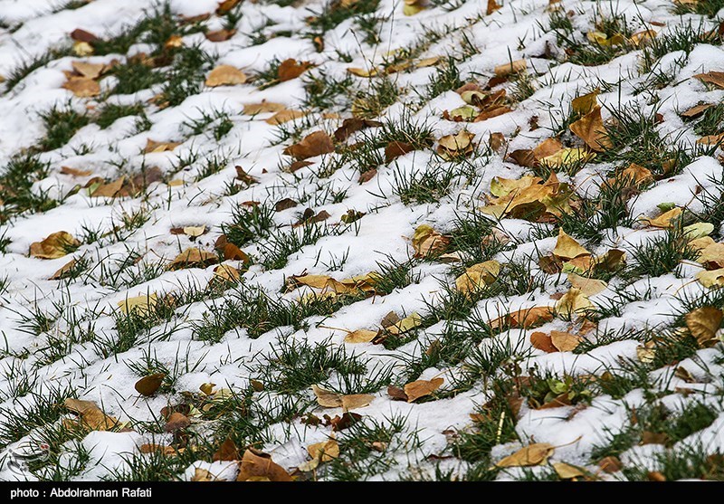  نفوذ سامانه سرد سیبری به گلستان؛دمای هوا در گلستان به زیر صفر درجه می‌رسد 