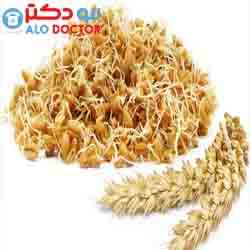  خواص جوانه گندم برای سلامتی چیست؟ 