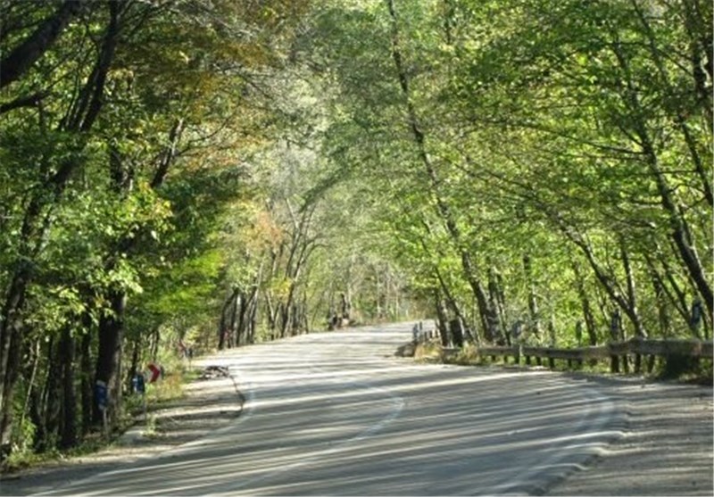 جاده کمربندی برای حفاظت از پارک ملی گلستان در حال احداث است 