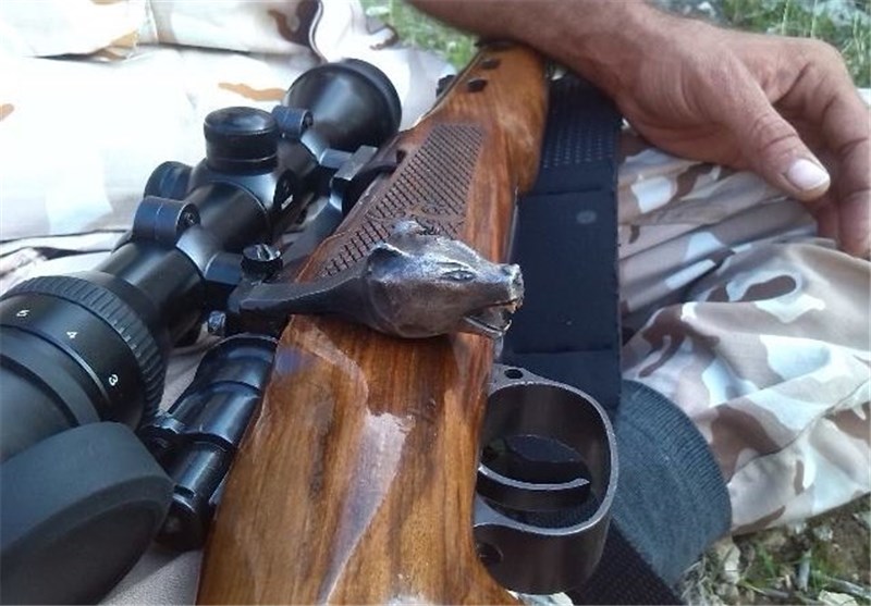  شکارچی سابقه‌دار در پارک ملی گلستان دستگیر شد 