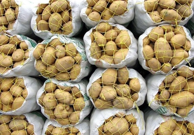  ۱۵ درصد سیب‌زمینی استان گلستان صادر شد 