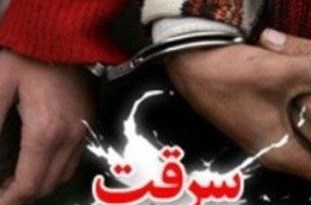 دستگیری سارق سابقه‎دار با 5 فقره سرقت احشام در کردکوی