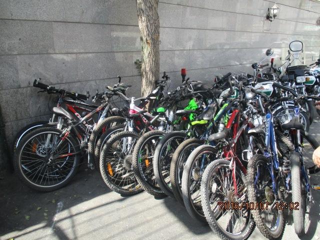 سارق سابقه دار دوچرخه در گنبد دستگیر شد