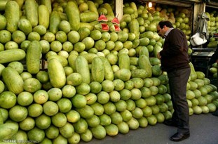 هندوانه گنبدکاووس از هفته آینده وارد بازار می‌شود