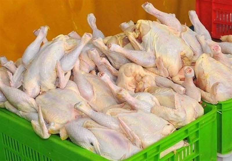 ۴۵۰۰ تن گوشت مرغ در گلستان ذخیره‌سازی شد