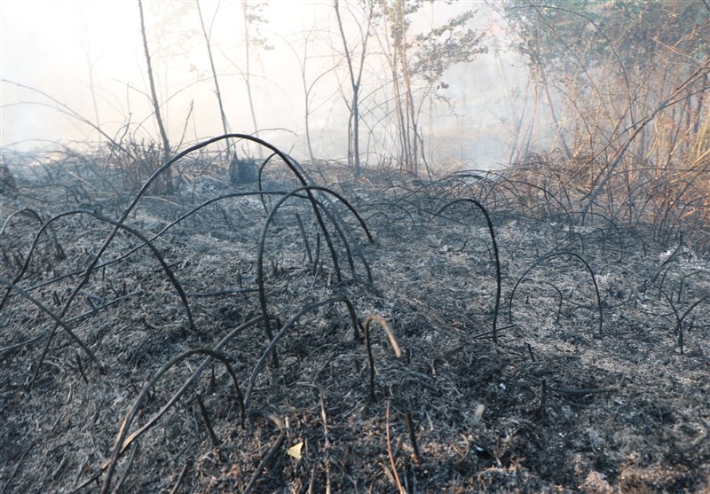 آتش‌سوزی در پارک ملی گلستان به صورت کامل مهار شد