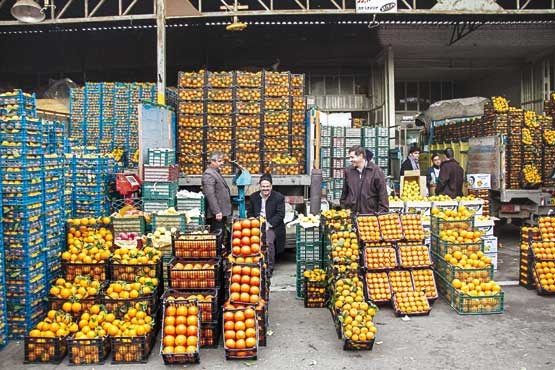 160 تن میوه برای شب عید در گنبد توزیع می شود
