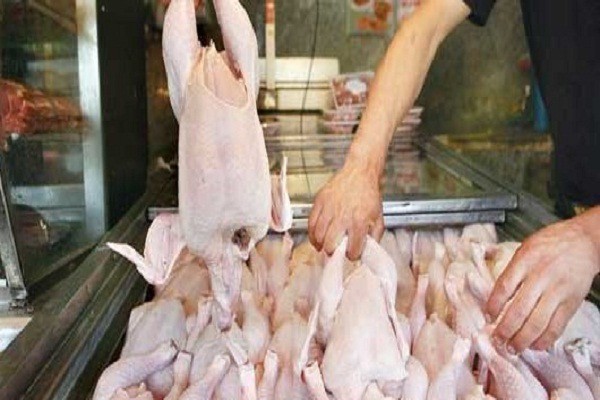 برای رفع التهاب بازار توزیع روزانه ۲۰۰ تن مرغ در گلستان